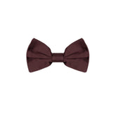 Dolce & Gabbana Burgundy Silk Bowtie