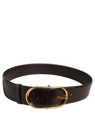 Dolce & Gabbana Brown Python Leather Gold Metal Buckle Belt